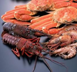 Krevety v troubě: nejlepší pečené recepty z mořských plodů Recepty na vaření krevet v troubě