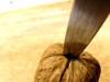 Jak rozlousknout mandžuský ořech doma