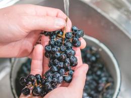 Výroba vína z hroznů doma: recept