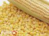 Как хранить долго свежими початки кукурузы
